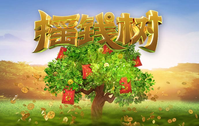 K8体育官网