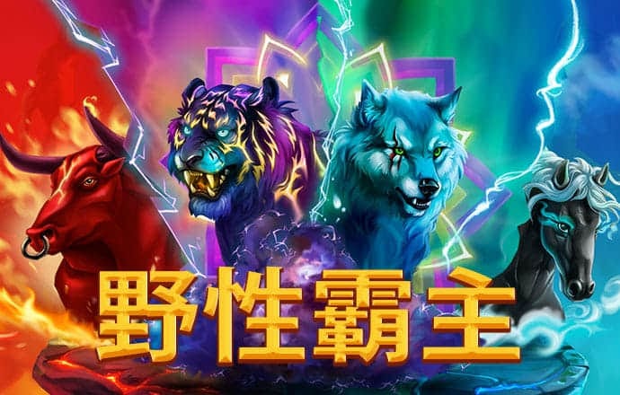 大红鹰dhy
